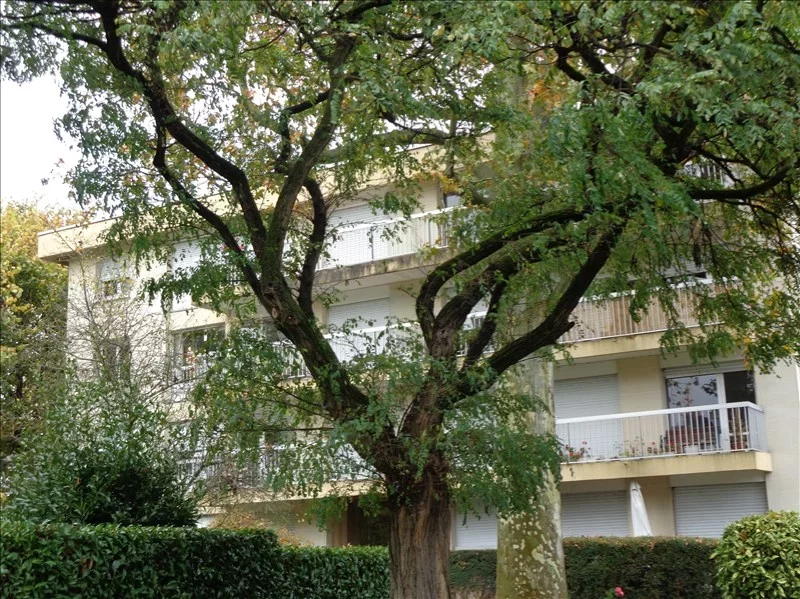 vente-appartement-3-pieces-chatenay-malabry-83872393