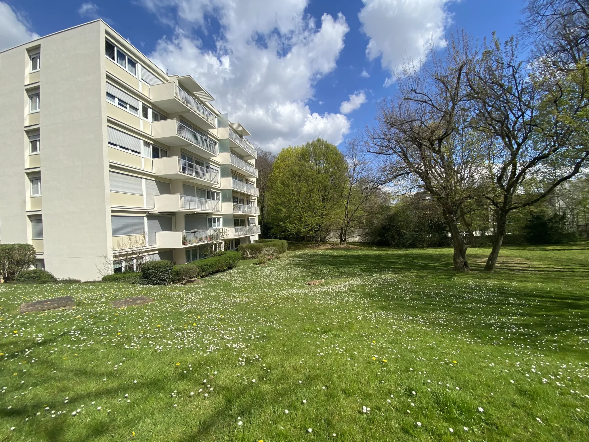 vente-appartement-3-pieces-le-plessis-robinson-83872495